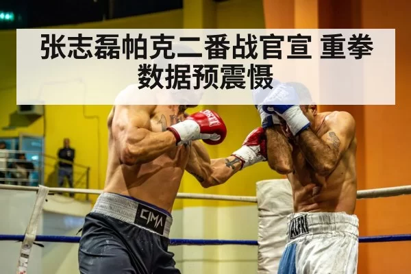 boxing heavyweight punch