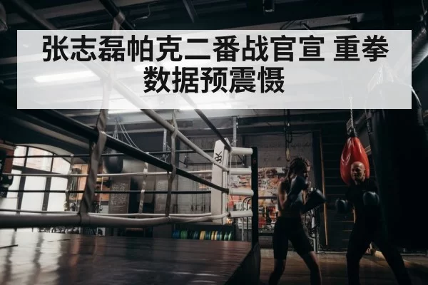 boxer endurance training